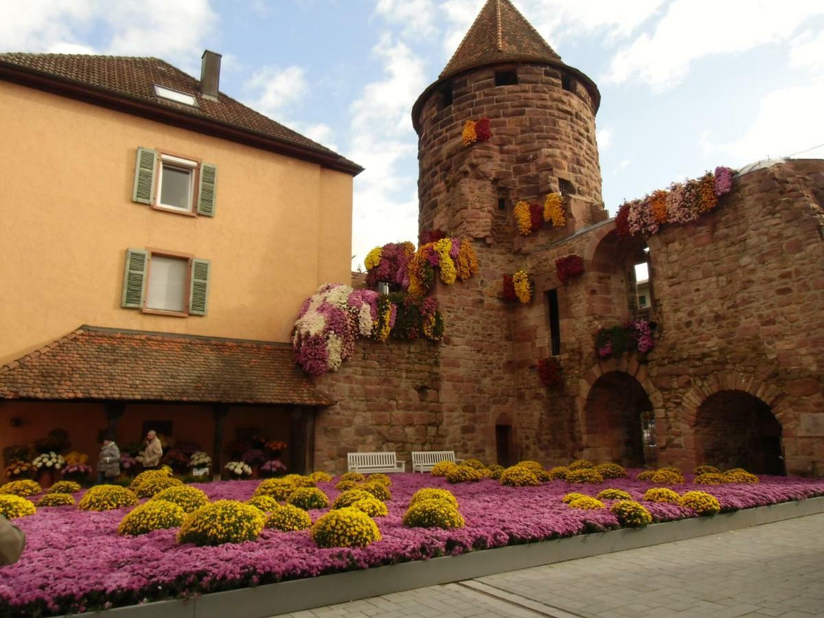 Ferienwohnung Keil Lahr/Schwarzwald Kültér fotó