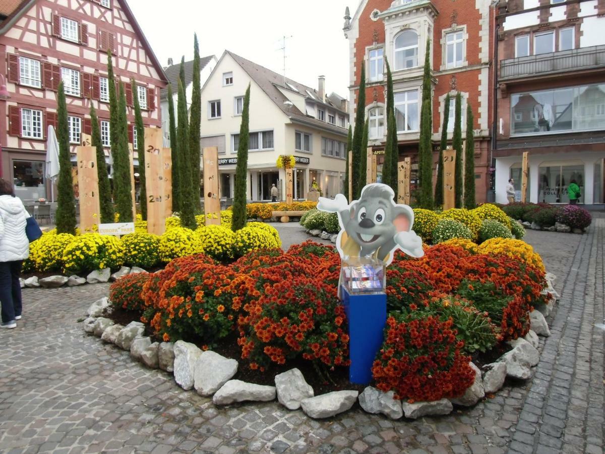 Ferienwohnung Keil Lahr/Schwarzwald Kültér fotó